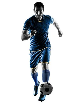 星空体育 主要标志